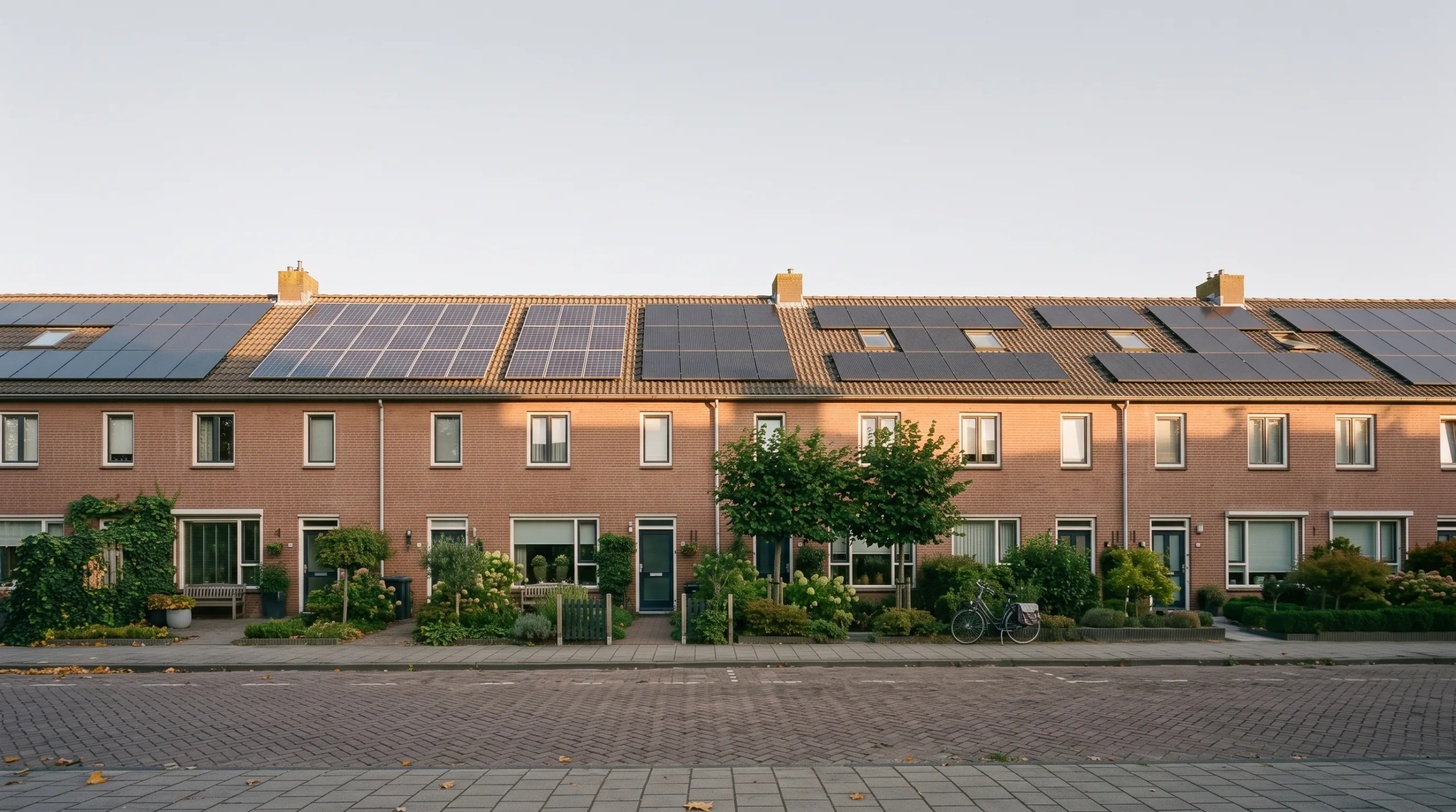 Rij Nederlandse rijtjeshuizen met zonnepanelen op het dak in herfstlicht